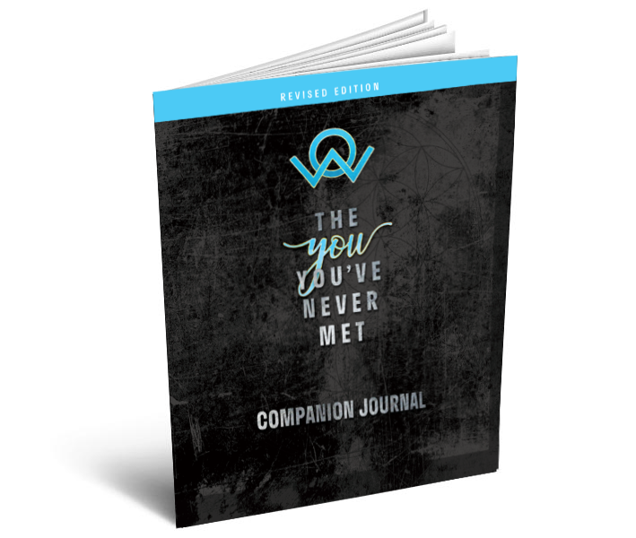 emotional sobriety, journal, the you you've never met, companion journal