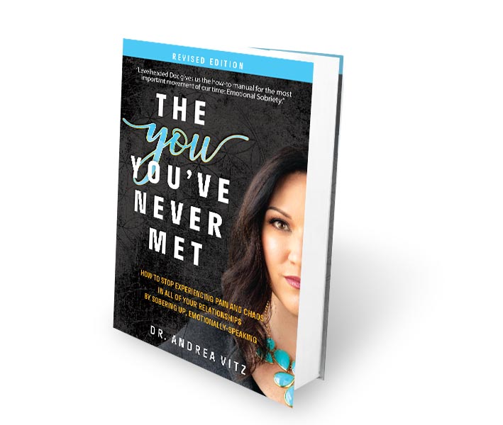 emotional sobriety, book, the you you've never met, training